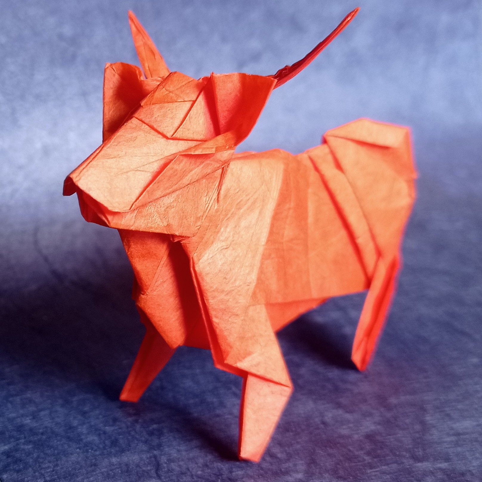 orange origami highland cow, on a blue background