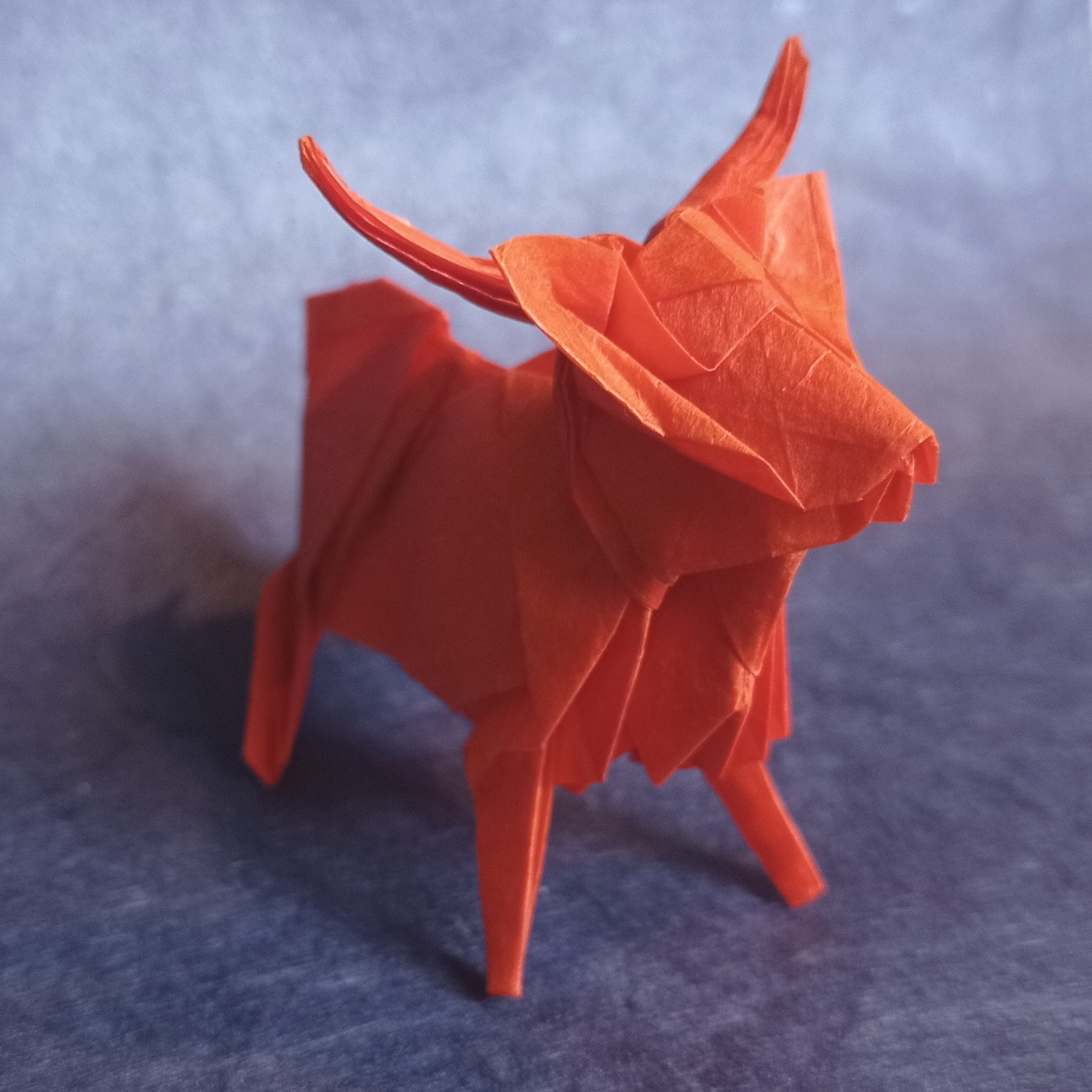 orange origami highland cow, on a blue background